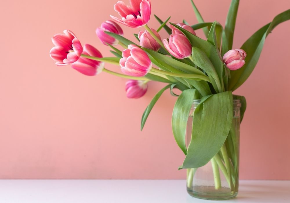 Things to Declutter in April to Simplify Your Home and Life
