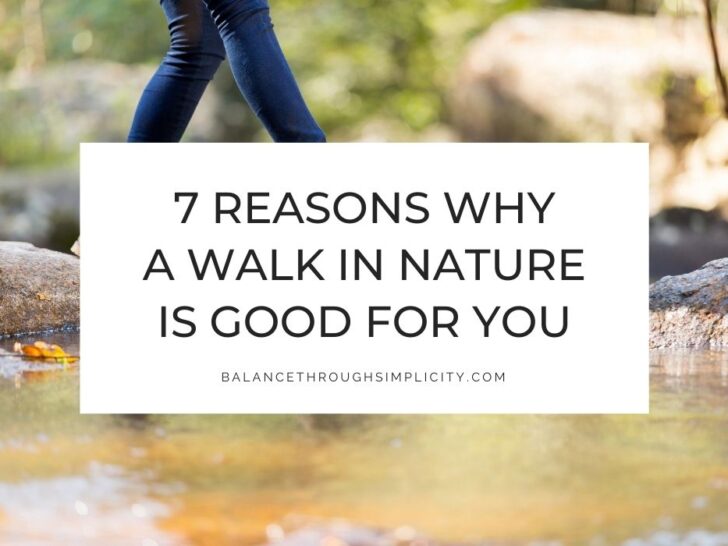 7 Reasons a Walk in Nature Calms Your Body and Declutters Your Mind